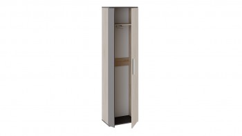 Шкаф для одежды «Нуар» тип 1 Фон серый/Дуб сонома в Боготоле - bogotol.mebel54.com | фото