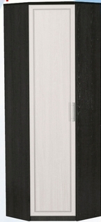 Шкаф для одежды угловой ДЛЯ ГОСТИНОЙ ШОУ-695 Венге/Дуб выбеленный в Боготоле - bogotol.mebel54.com | фото