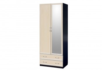 Шкаф для платья и белья 2-х дверный с профилем МДФ с 1 зеркалом Венге/Дуб выбеленный в Боготоле - bogotol.mebel54.com | фото