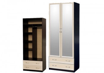 Шкаф для платья и белья 2-х дверный с профилем МДФ с 2 зеркалами Венге/Дуб выбеленный в Боготоле - bogotol.mebel54.com | фото